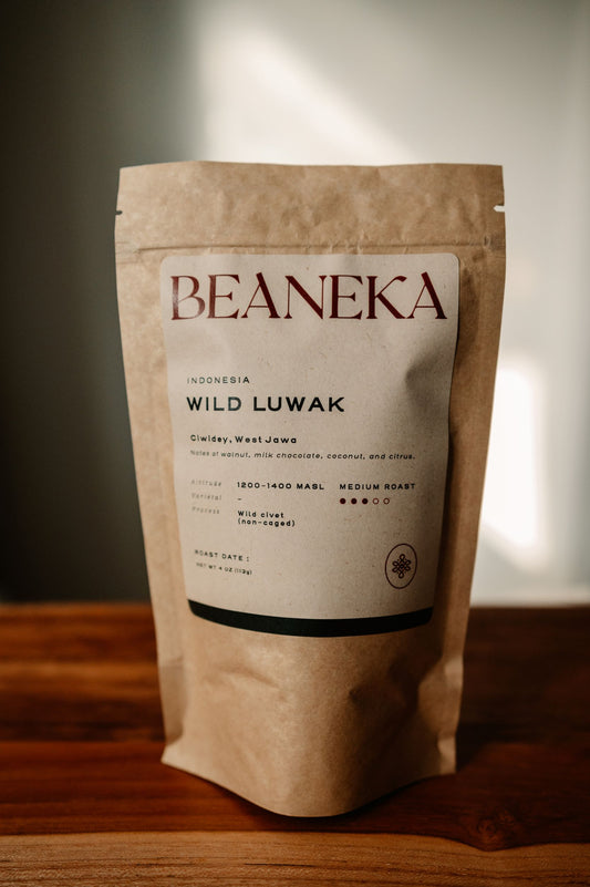 Wild Luwak